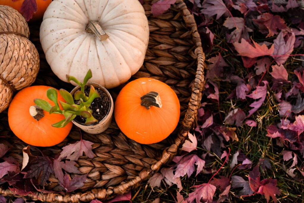 Outdoor Fall Décor