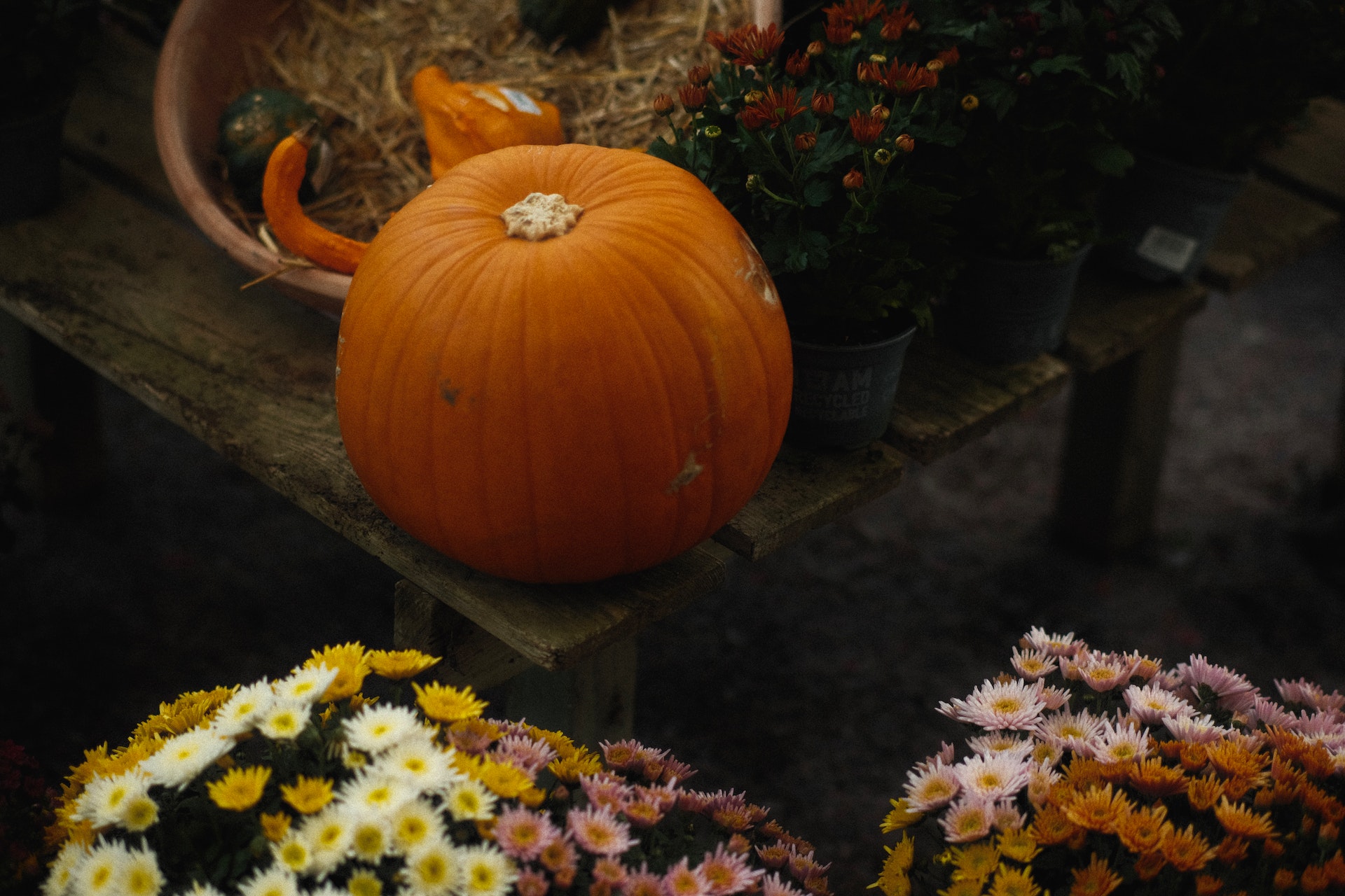 Fall Décor For Front Porches